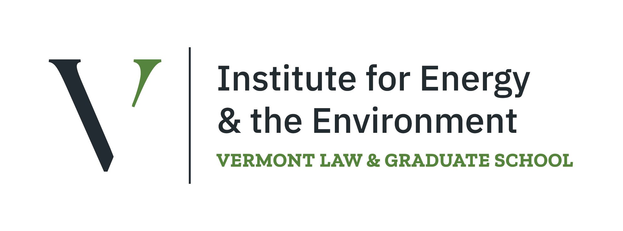 VLGS-IEE_Logo_H-2C-CMYK