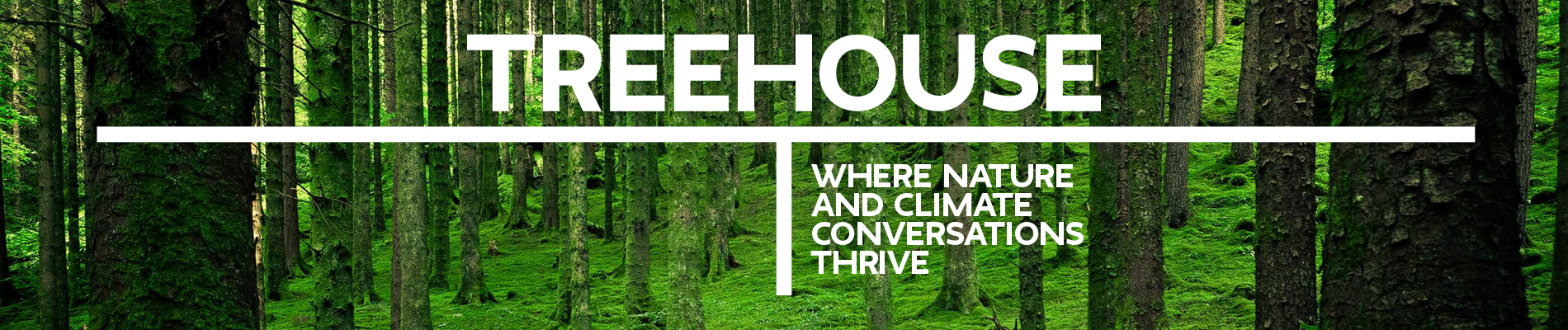 treehouse_website_image